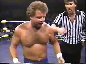 Mike Graham vs. Terry Taylor [1991-09-15]