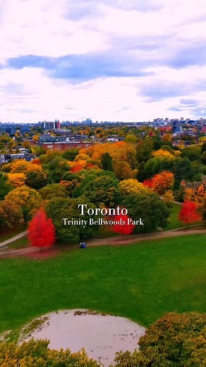 Right in the heart of downtown, Trinity Bellwoods transforms into a sea of gold, orange, and red each fall — perfect for a cozy walk, photo spot, or fall picnic moment 🤎 📍 Trinity Bellwoods Park, Toronto 🎥 Gorgeous shot by @discoverwithdarshan ✨ Follow @whatstheplantoronto for more scenic Toronto spots 🔎 Check @whatstheplanpassports for local hidden gems & seasonal finds #whatstheplantoronto #torontofall #torontothings #thingstodointoronto #trinitybellwoods #fallintoronto #torontolife #toron