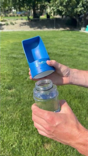 Is your dog hydrated?💧