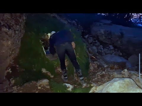 A look at spring in the heart of winter in my beautiful Iran🇮🇷