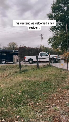 4K views · 1.1K reactions |  **A Heartwarming Update!**  We are...