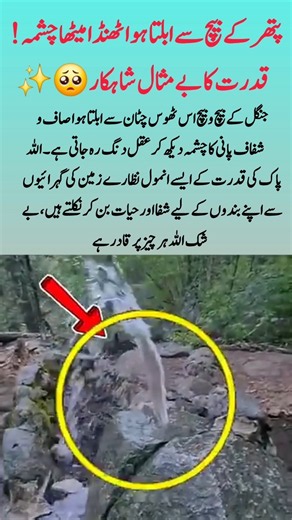 Miraculous Fresh Water Spring From Solid Rock SubhanAllah💧#NaturalSpring #WaterFromRock #SubhanAllah
