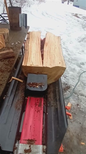 HARBOR FREIGHT 5TON ELECTRIC LOG SPLITTER #diy #firewood #wood #logsplitter #woodsplitter #diy