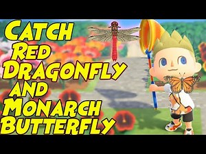 How to Catch MONARCH BUTTERFLY & RED DRAGONFLY in Animal Crossing New Horizons