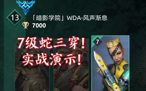 「WDA」“你怎么能被7级蛇三穿了啊”-新英雄实战演示!-暗影格斗竞技场