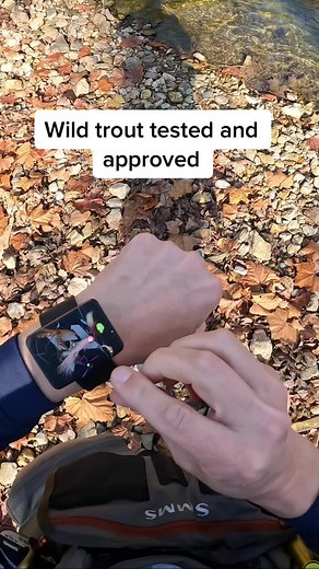 FlyFishDelawhere on TikTok