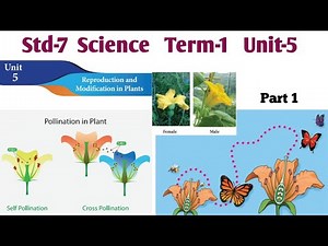 Reproduction and Modification in plants class 7 | Unit 5 | 7th Std Science | Samacheer Kalvi