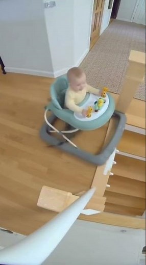 Hero cat saves baby from falling down stairs