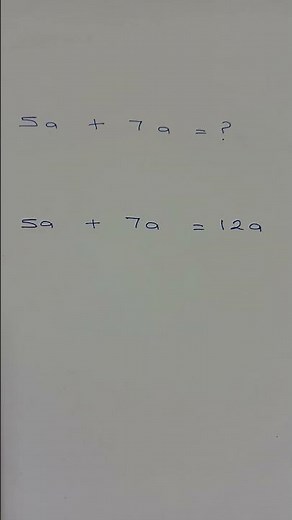 Algebra NCEA 1 Practice