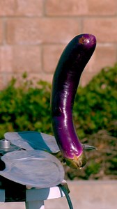 34K views · 103 reactions | What random objects survive a fan | SupEfron | Facebook