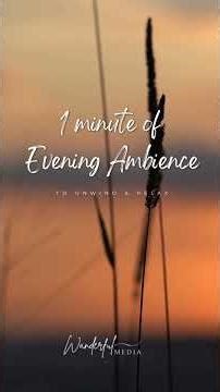 1 Minute of Evening Ambience To Unwind & Relax #relax #shorts