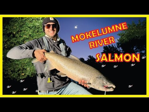 Mokelumne River Salmon Fishing | It's Jigging Time!