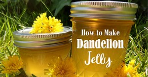 How to Make Dandelion Jelly
