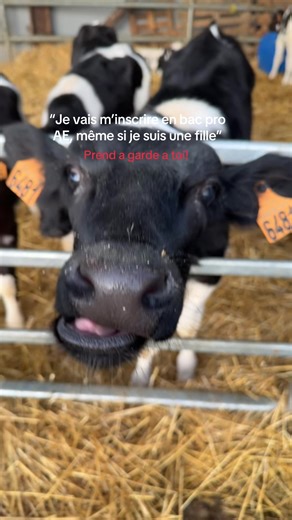 Bac Pro AE : Inscription et Équipements Agricoles