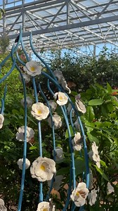 1.2K views · 19 reactions | Looking for a unique gift to give this...