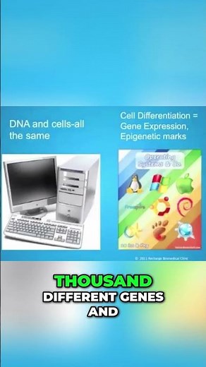 #18 DNA's Operating System - Gene Expression & Epigenetics Explained!