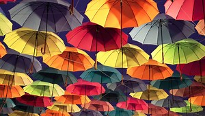 Popular Types of Life Insurance for Any Age