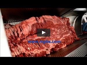 Pro-Slice PCE 70-21 Horizontal Portion Slicer - Boneless Beef Demo 323-268-8514