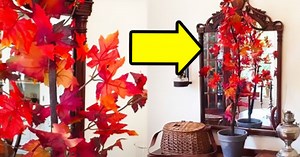 How To Craft Your Own Fall Tree That Will Be Perfect As Decor This Season