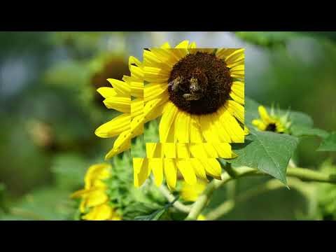 Davinci Resolve videóvágó program TANULÁSA