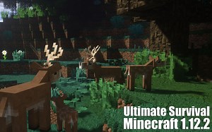 【MC】你可以在MC里打RPG和旅行 | UltimateSurvival真实冒险生存服务器