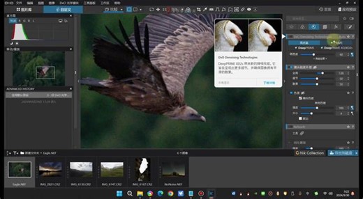 被忽视的修图神器！Photolab 8 最强摄影后期 RAW 解析处理软件