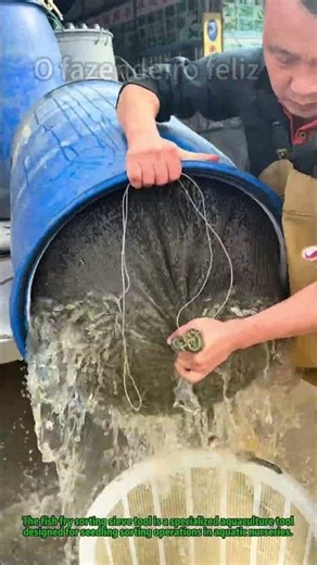 Sieve Filtering Water to Pour Fish Fry #AquacultureTools #FishFryHandling