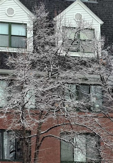 Hot pot on a snowy day… there are few things better! What are your favorite hot pot ingredients? I love the veggies, fish balls stuffed with pork, and imitation crab hehe I hope your new year is treating you kindly, and that you’ve already eaten something delicious today. If not, go get yourself something yummy to eat now!! Ingredients bought from @Weee Asian Supermarket #food #hotpot #prep #asianfood