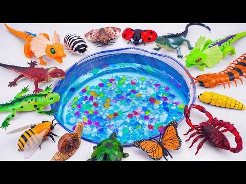 [toy asmr] ZURU Robo Alive Remote Control Axolotl & Robotic Insect Toys ASMR ✨ No talking 🔇