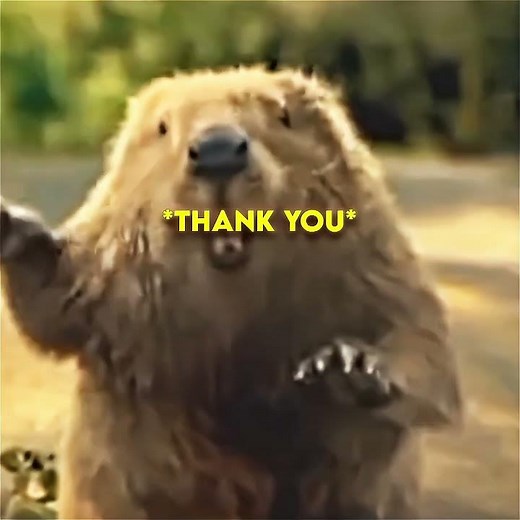 Beaver Saves a Man’s Life in the Most Unexpected Way ❤️‍🩹