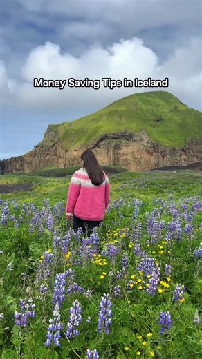 Don’t let the price stop you from planning a trip to Iceland. Here’s how you can save money: ✅ Rent a Car and avoid bus tours ✅ Travel during shoulder seasons, summer is the most expensive time to visit Iceland ✅ Travel with friends or family to split costs ✅ Cook your own meals, grocery shops are very affordable in Iceland ✅ Visit natural hot springs or local pools instead of multiple spas #iceland #budgettravel