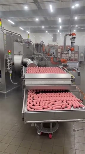 Inside a Fully Automated Meat Processing Factory #Shorts