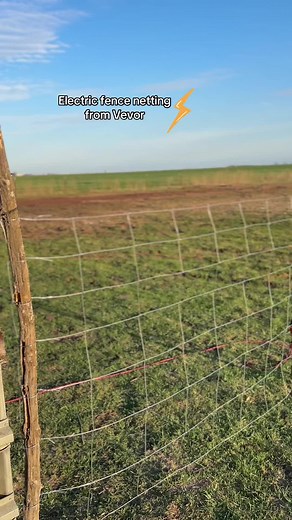 Setting Up Vevor Electric Fence Netting for Effective Grazing Control