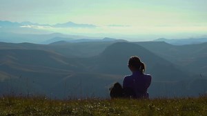 Free video - Animal, Dog, Friend, Pet, Playing