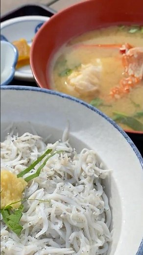 【江の島グルメ】海と空に癒される絶景ランチ！魚見亭で味わう新鮮しらす丼🐟✨