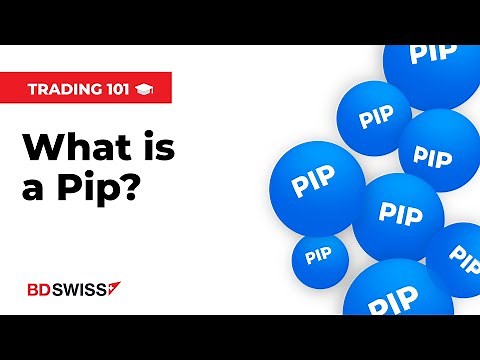 Trading 101: What Is Pip? | BDSwiss