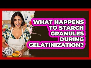 What Happens To Starch Granules During Gelatinization? - The Skillful Chef