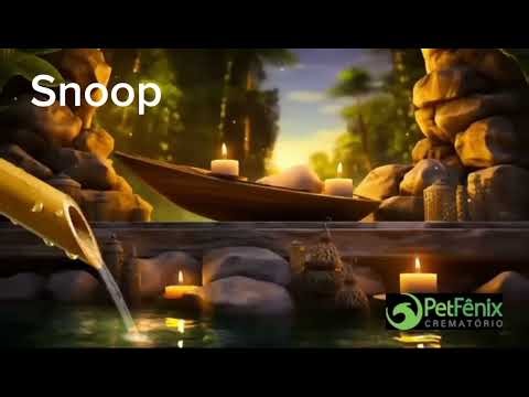 6 de fevereiro de 2026