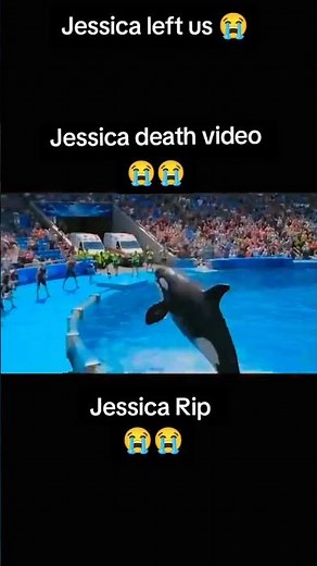 Dolphin fish viral video 🔥|Dolphin fish eat girl Jessica😭|