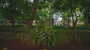 Container Gardening for Small Patios