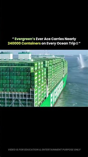 This Ship Carries Nearly 24,000 Containers 😳🚢 | Ocean Giant
