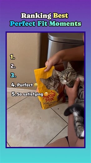 Ranking Best Perfect Fit Moments 😌 #oddlysatisfying