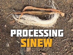 How to Process Backstrap Sinew