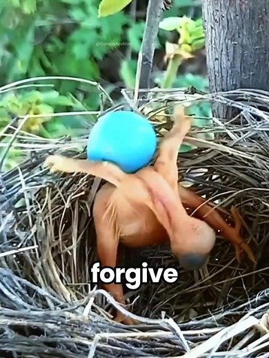 This Bird Tricks Other Birds Into Raising Its Baby