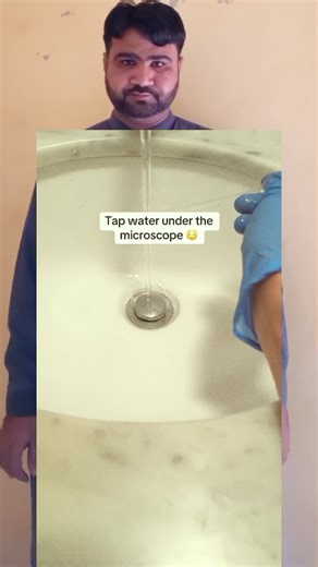 Exploring the World Through a Microscope