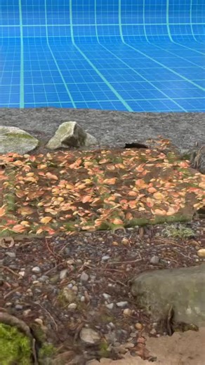 Understanding Cartridge Traps and Their Dangers