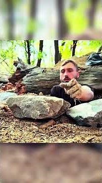 I Spent the Night Alone in the Jungle… Strange Animals Were Nearby 🌲🔥 #bushcraft #camping #survival