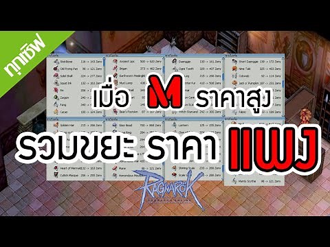 ใช้ได้ทุกเซิฟ! วิธีหาเงิน M - รวม!! ขยะ ราคาแพง ( แหล่งฟาร์มขยะ พารวย!! ) Ragnarok online