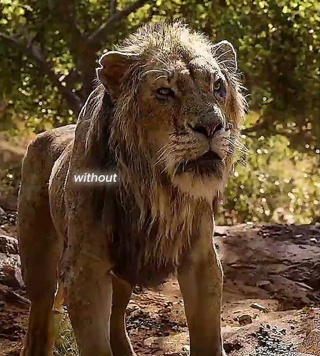 Part 4 | The Lion King (2019) - Long Live the King 👑
