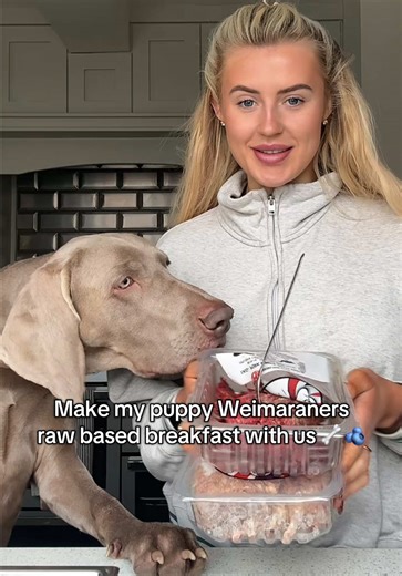 Raw Feeding for Weimaraners: Healthy Dog Breakfast Ideas
